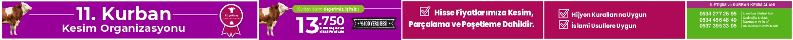 gelsineve.com